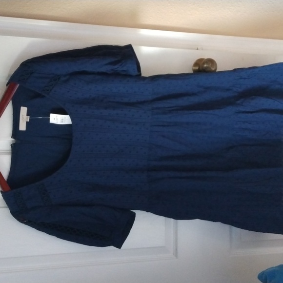 Loft Mixed Media Scoop Neck Swing Dress Size 6 NEW WITH TAGS - Picture 3 of 7